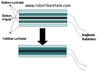 Basn Sensr