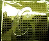 Hassas Nanoteknolojik Elektronik Deri