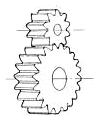 Dz Dili (Spur Gear)